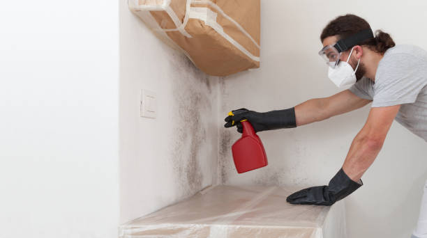 Professional Black Mold Removal technician working in Glen Rock, NJ