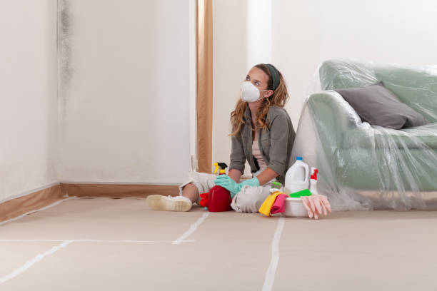 Reliable Black Mold Removal contractor in Glen Rock, NJ by WQB Mold Removal